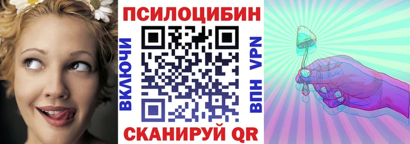 дарнет шоп  Невьянск  Галлюциногенные грибы прущие грибы 